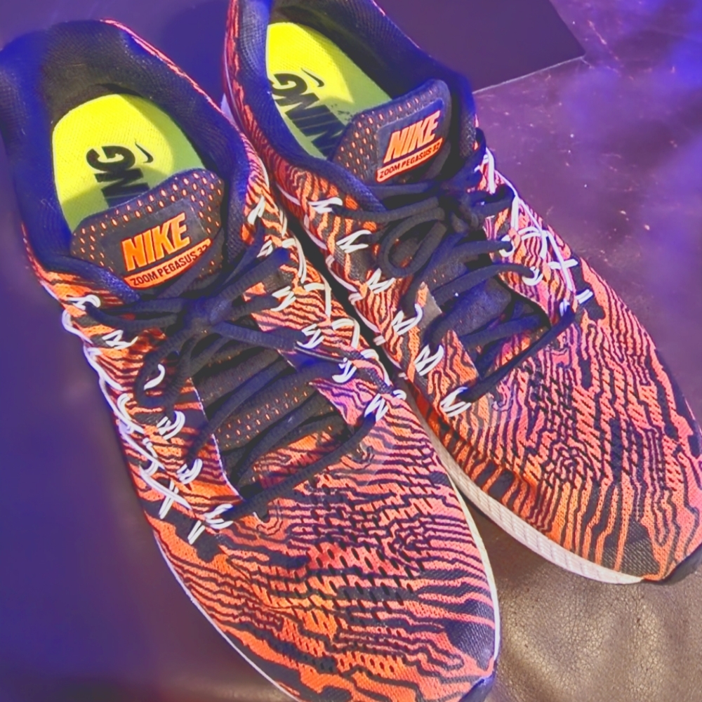 Nike Pegasus 32 running shoes